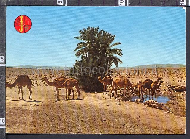 Collezionismo di cartoline postali del marocco